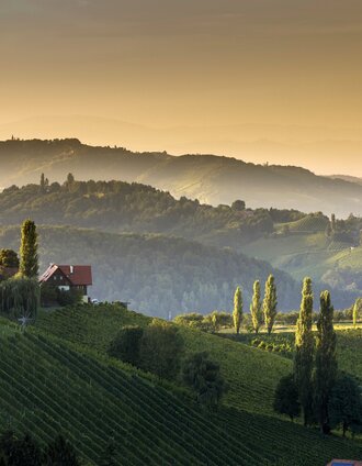 Der Naturpark Südsteiermark | Harry Schiffer | © Steiermark Tourismus / Harry Schiffer