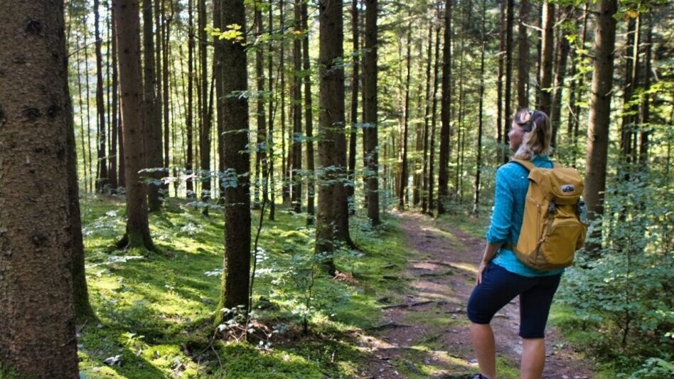 Hiking route Schilcherkeller Rundweg - Touren-Impression #2.3 | © TV Südsteiermark - WEGES