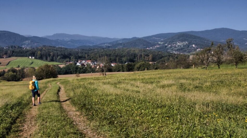 Hiking route Schilcherkeller Rundweg - Touren-Impression #2.5 | © TV Südsteiermark - WEGES