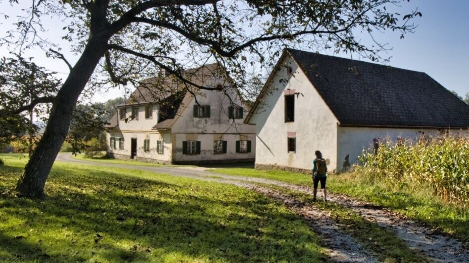 Hiking route Schilcherkeller Rundweg - Touren-Impression #2.6 | © TV Südsteiermark - WEGES