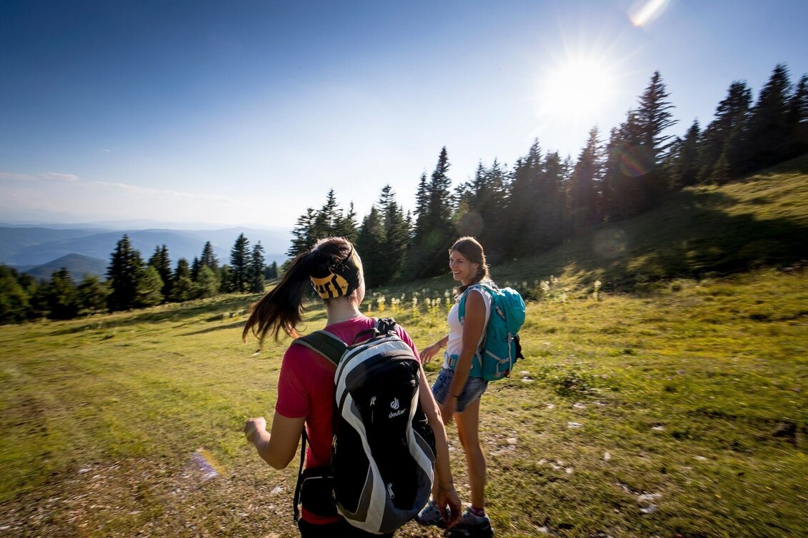 Wanderung Greimhütten Runde - Touren-Impression #1 | © Tourismusverband Murau