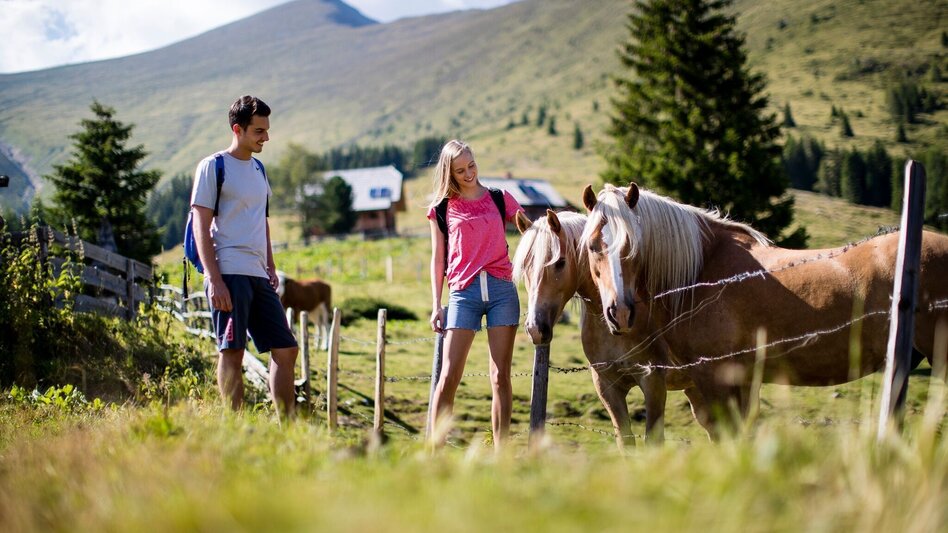 Bergtour Greim-Gipfelrunde - Touren-Impression #2.4 | © Tourismusverband Murau