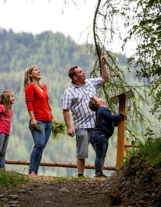 Tierisch Wild | Tourismusverband Murau | © Tourismusverband Murau