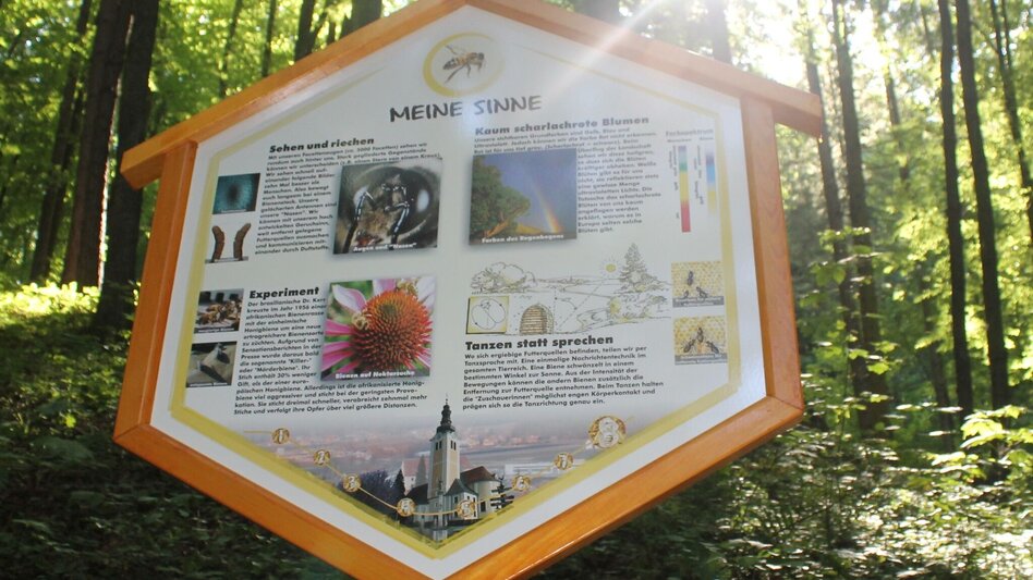 Themen- und Lehrpfad Bienenlehrpfad - "Bienen-aktiv-Lehrpfad" St. Ruprecht an der Raab - Touren-Impression #2.1 | © Oststeiermark Tourismus