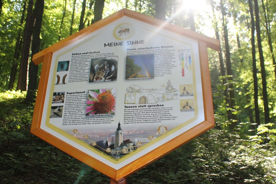 Themen- und Lehrpfad Bienenlehrpfad - "Bienen-aktiv-Lehrpfad" St. Ruprecht an der Raab - Touren-Impression #1 | © Oststeiermark Tourismus