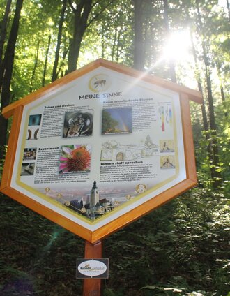Bienenlehrpfad St. Ruprecht an der Raab | xSimon Sackl | © Oststeiermark Tourismus