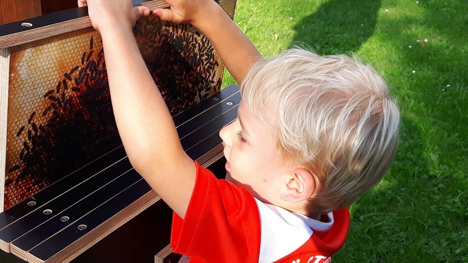 Themen- und Lehrpfad Bienenlehrpfad - "Bienen-aktiv-Lehrpfad" St. Ruprecht an der Raab - Touren-Impression #2.2 | © Oststeiermark Tourismus