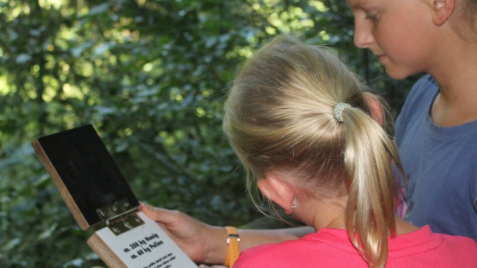 Themen- und Lehrpfad Bienenlehrpfad - "Bienen-aktiv-Lehrpfad" St. Ruprecht an der Raab - Touren-Impression #2.3 | © Oststeiermark Tourismus