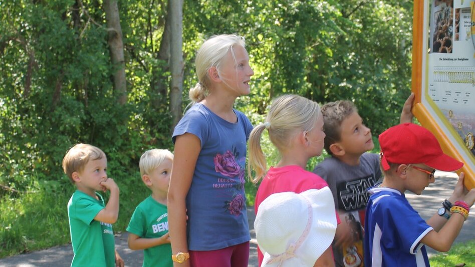 Themen- und Lehrpfad Bienenlehrpfad - "Bienen-aktiv-Lehrpfad" St. Ruprecht an der Raab - Touren-Impression #2.5 | © Oststeiermark Tourismus