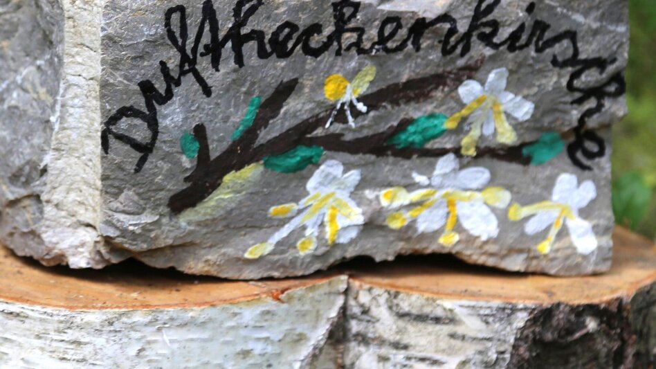 Themen- und Lehrpfad Bienenlehrpfad - "Bienen-aktiv-Lehrpfad" St. Ruprecht an der Raab - Touren-Impression #2.6 | © Oststeiermark Tourismus