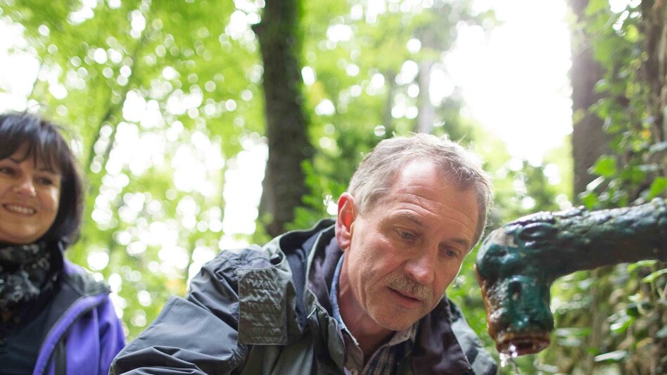 Themen- und Lehrpfad Bienenlehrpfad - "Bienen-aktiv-Lehrpfad" St. Ruprecht an der Raab - Touren-Impression #2.7 | © Oststeiermark Tourismus