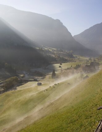waldlehrpfad kleinsölk_img_21656793 | Schladming Dachstein | © Erlebnisregion Schladming-Dachstein