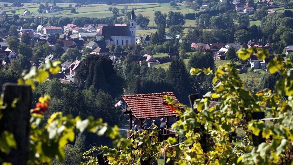 Hiking route Winzerweg in Bad Gams - Touren-Impression #2.3 | © TV Südsteiermark