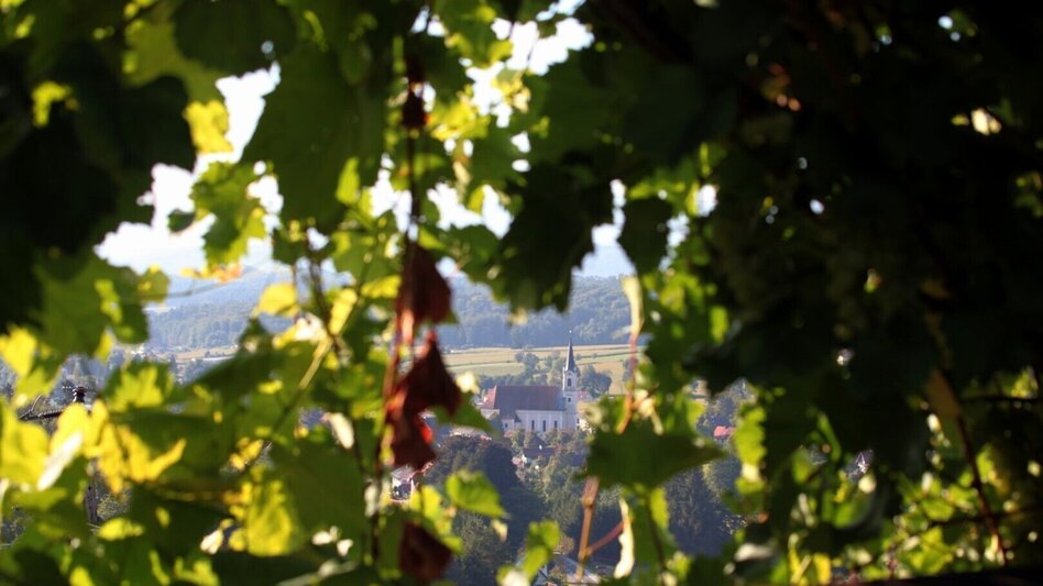 Hiking route Winzerweg in Bad Gams - Touren-Impression #2.2 | © TV Südsteiermark
