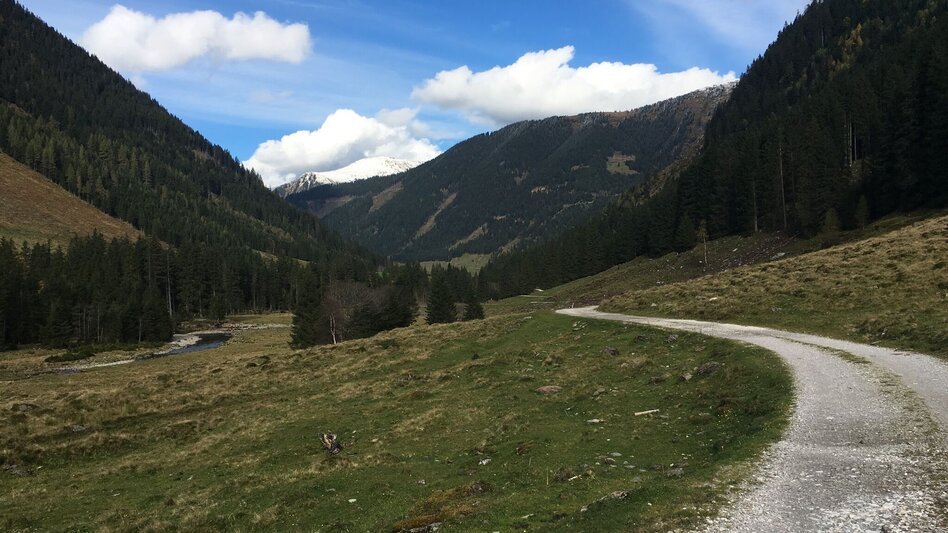 Hiking route "Secrets of water" Bräualm - Touren-Impression #2.3 | © Erlebnisregion Schladming-Dachstein