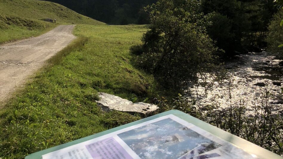 Hiking route "Secrets of water" Bräualm - Touren-Impression #2.5 | © Erlebnisregion Schladming-Dachstein