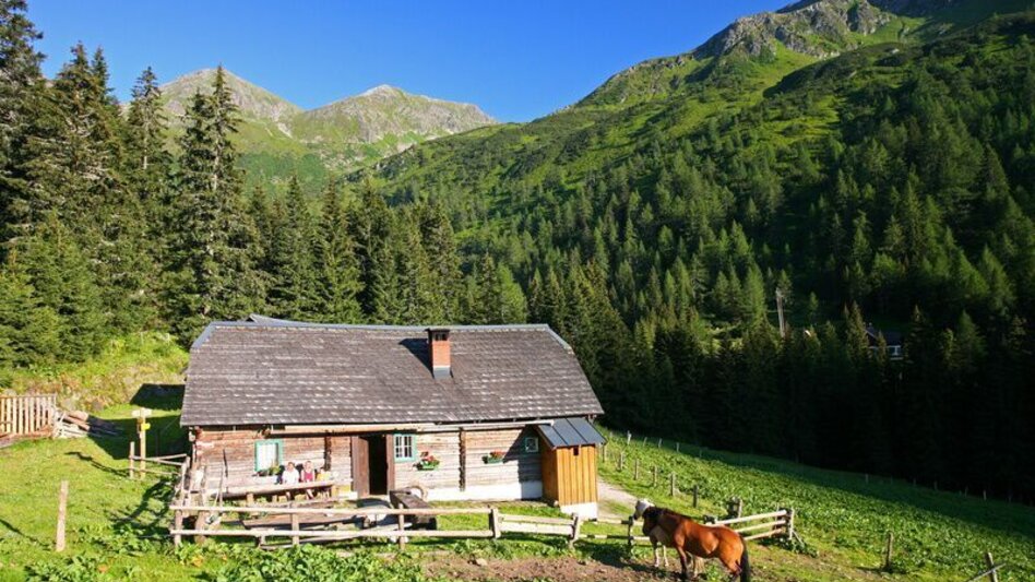 Wanderung Auf den Spuren der Eiszeit - Sölkpass - Touren-Impression #2.3 | © Erlebnisregion Schladming-Dachstein