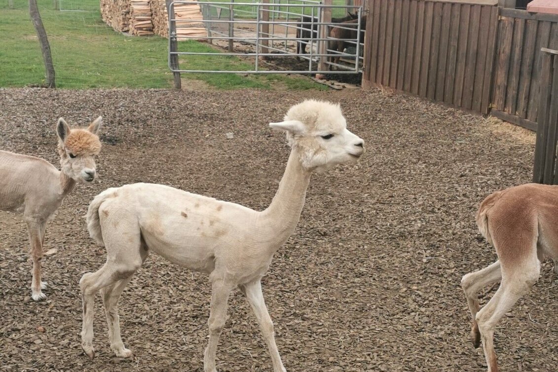 Wanderung Frauentaler Genusswanderung  - Touren-Impression #1 | © Südsteiermark