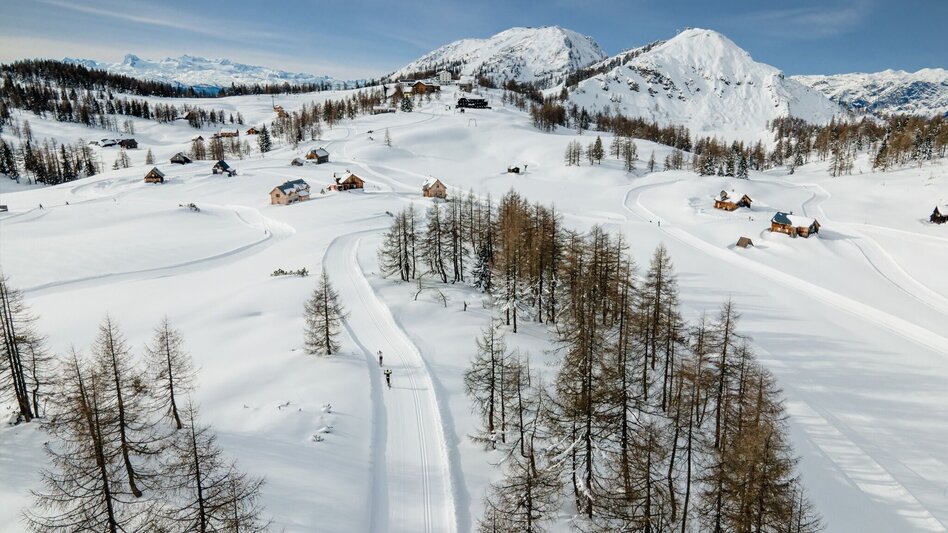 Ski nordic skating Sturzhahn cross-country ski trail on the Tauplitzalm - Touren-Impression #2.1 | © TVB Ausseerland Salzkammergut