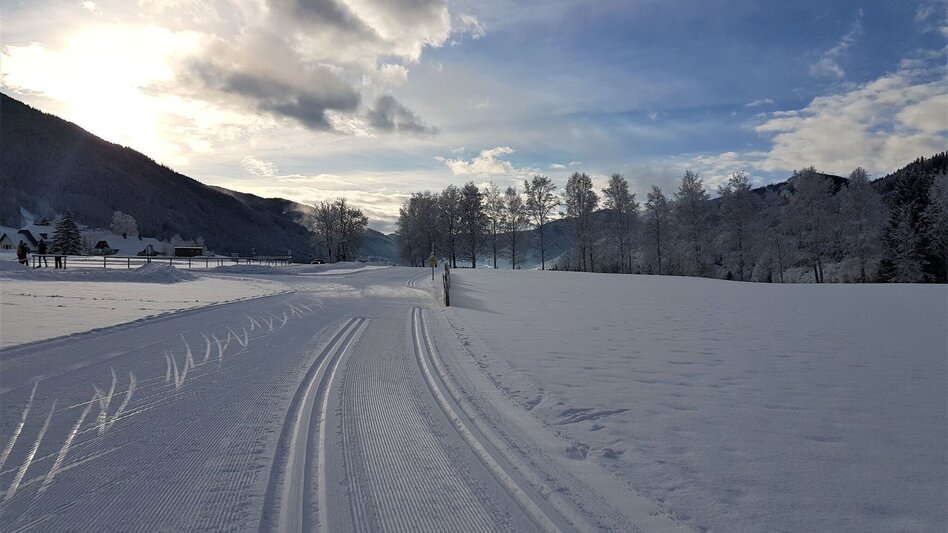 Langlauf klassisch Grüner See Loipe - Touren-Impression #2.6 | © Tourismusverband ERZBERG LEOBEN