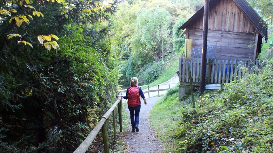 Hiking route Enzenbacher Familientour über den Gsollerkogel - Touren-Impression #2.4 | © Region Graz