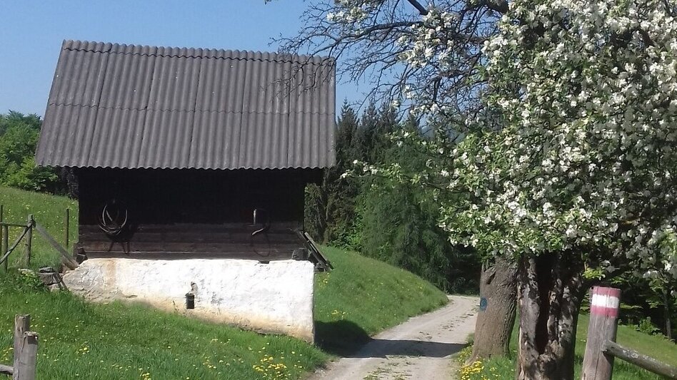 Hiking route Enzenbacher Familientour über den Gsollerkogel - Touren-Impression #2.6 | © Region Graz