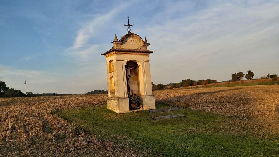 Radfahren Hopfen-Tour, Ökoregion Kaindorf - Touren-Impression #2.6 | © Oststeiermark Tourismus