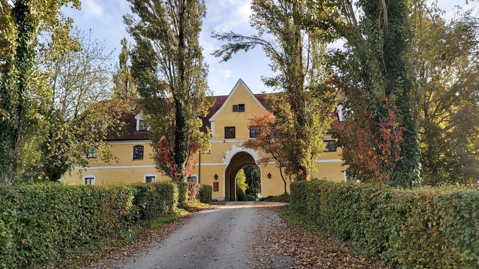 Radfahren Hopfen-Tour, Ökoregion Kaindorf - Touren-Impression #2.1 | © Oststeiermark Tourismus