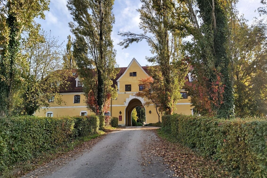 Radfahren Hopfen-Tour, Ökoregion Kaindorf - Touren-Impression #1 | © Oststeiermark Tourismus