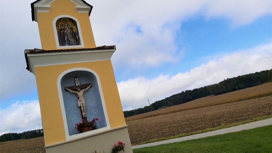 Bike Riding Ökoregion Kaindorf Pleasure Tour - Touren-Impression #2.2 | © Oststeiermark Tourismus