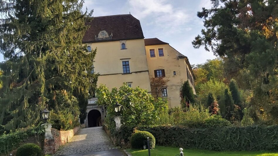 Bike Riding Ökoregion Kaindorf Pleasure Tour - Touren-Impression #2.4 | © Oststeiermark Tourismus