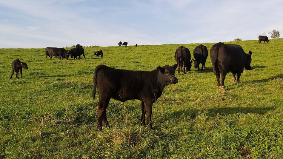 Bike Riding Ökoregion Kaindorf Pleasure Tour - Touren-Impression #2.6 | © Oststeiermark Tourismus