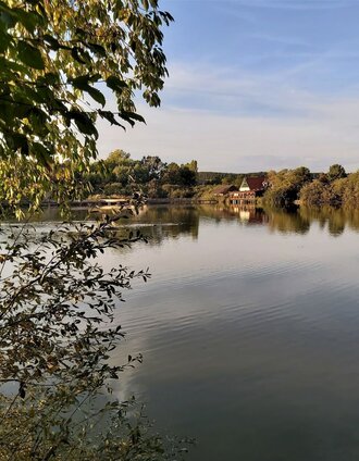 Hard pond in Hartbergerland in Eastern Styria | Christa Pollhammer | © Oststeiermark Tourismus