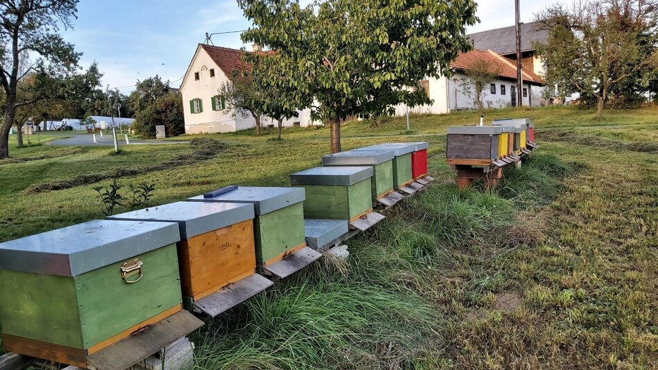 Bike Riding Ökoregion Kaindorf Pleasure Tour - Touren-Impression #2.13 | © Oststeiermark Tourismus