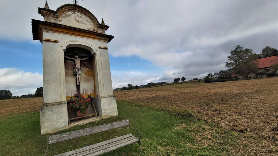 Bike Riding Ökoregion Kaindorf Pleasure Tour - Touren-Impression #2.15 | © Oststeiermark Tourismus