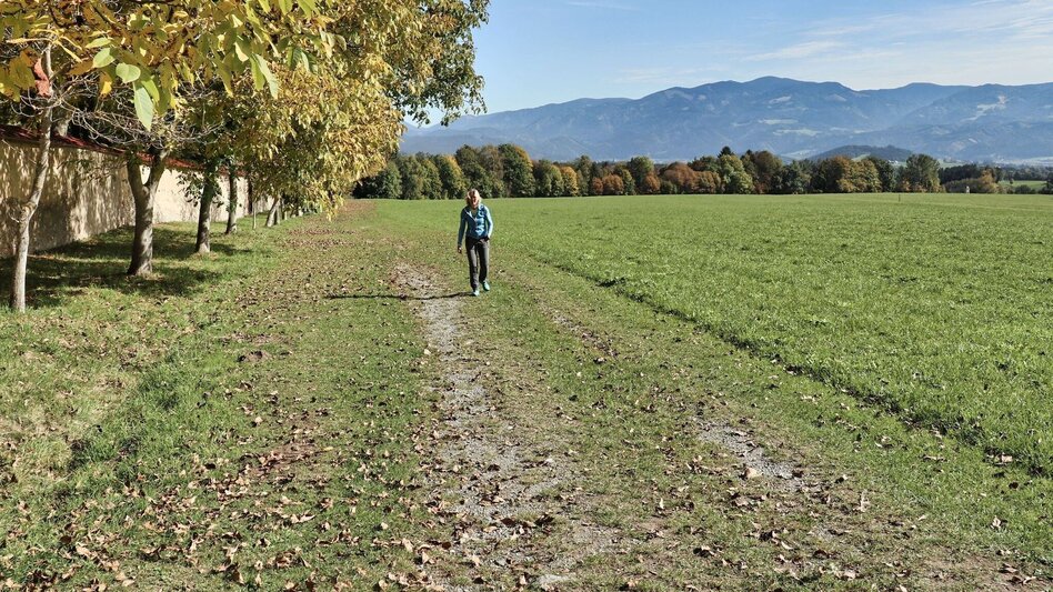 Hiking route 28a - Seckauer Rundwanderweg - Touren-Impression #2.1 | © Weges OG