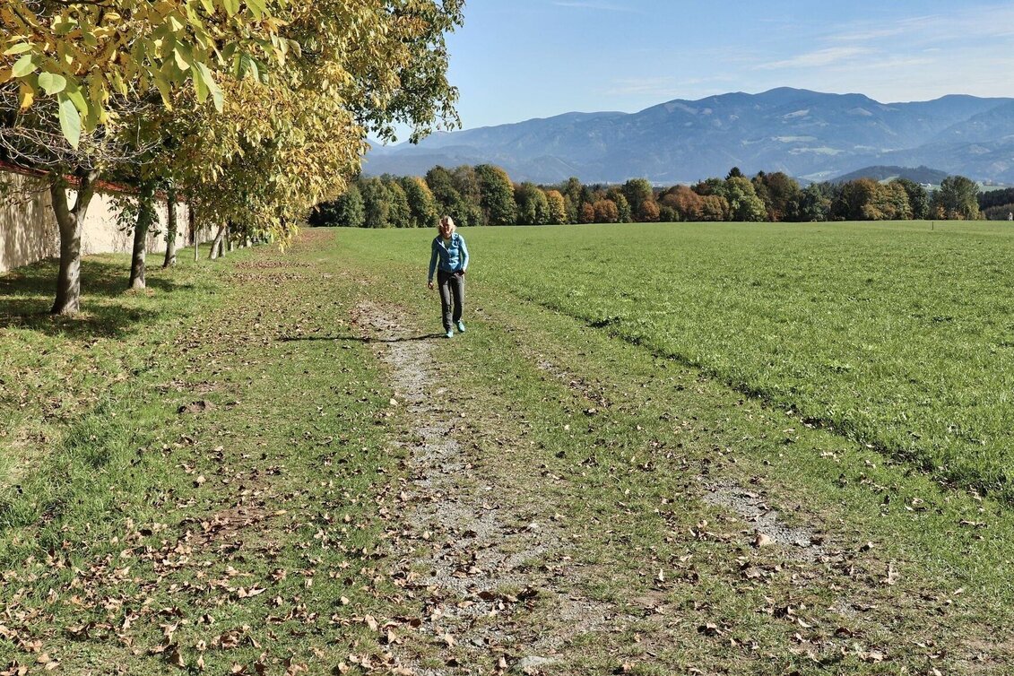 Hiking route 28a - Seckauer Rundwanderweg - Touren-Impression #1 | © Weges OG