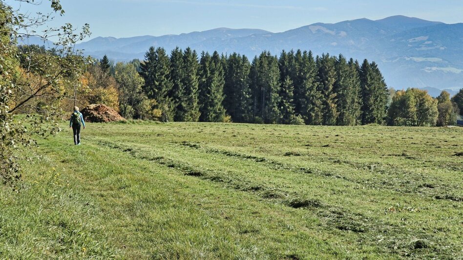 Hiking route 28a - Seckauer Rundwanderweg - Touren-Impression #2.7 | © Weges OG