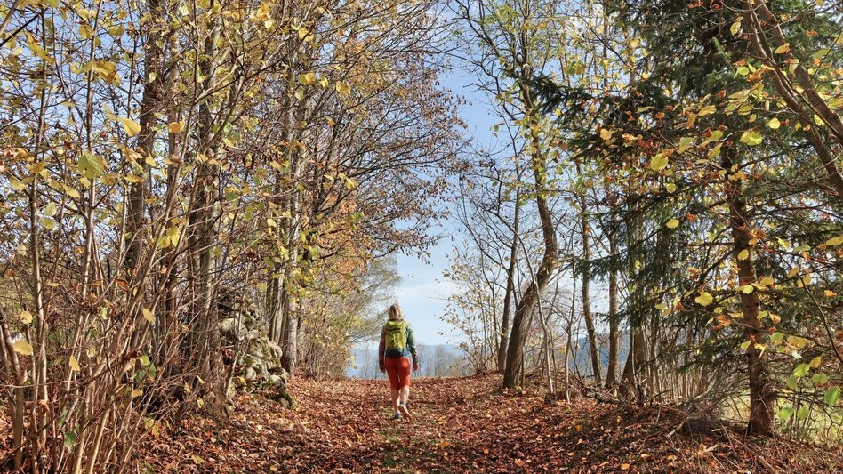 Hiking route 28c-Seckau - Steinmühle Rundwanderweg - Touren-Impression #2.5 | © Weges OG