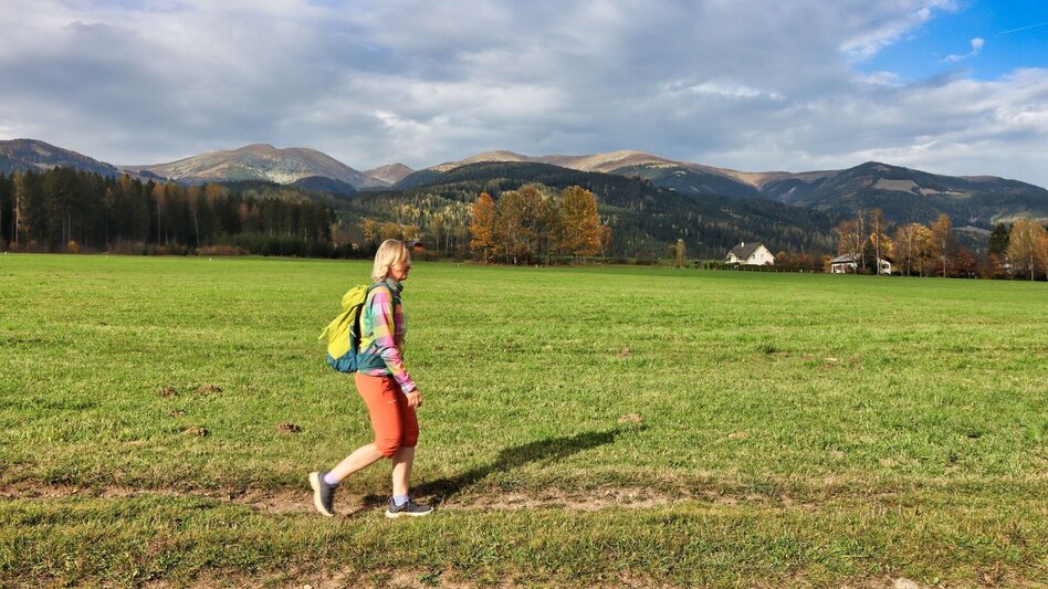 Hiking route 28c-Seckau - Steinmühle Rundwanderweg - Touren-Impression #2.6 | © Weges OG