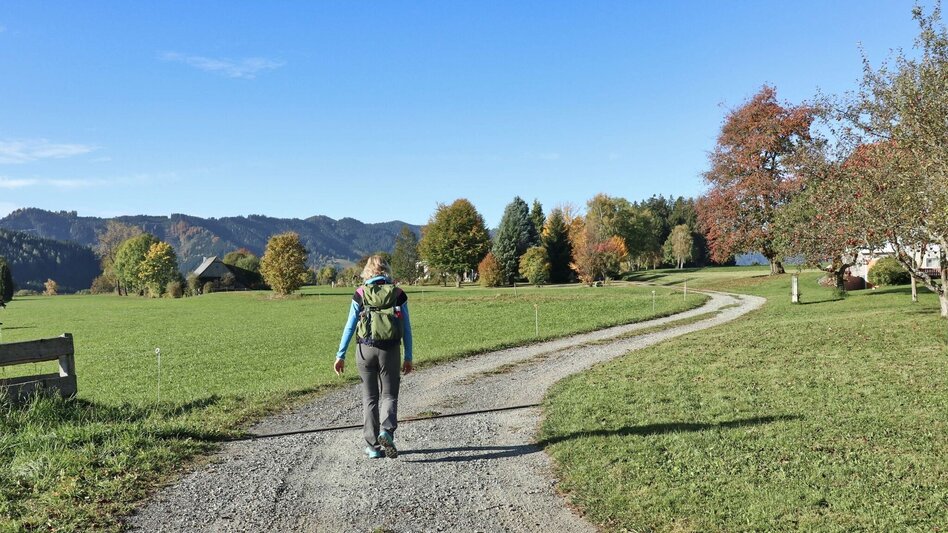 Hiking route 28c-Seckau - Steinmühle Rundwanderweg - Touren-Impression #2.7 | © Weges OG
