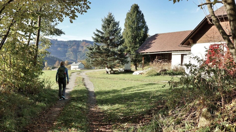 Hiking route 28c-Seckau - Steinmühle Rundwanderweg - Touren-Impression #2.9 | © Weges OG