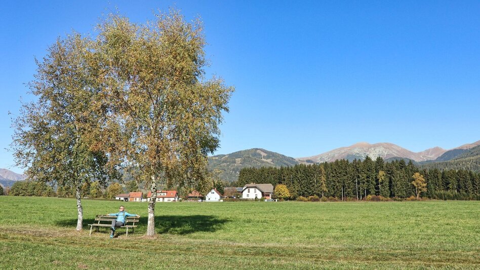 Hiking route 28c-Seckau - Steinmühle Rundwanderweg - Touren-Impression #2.14 | © Weges OG