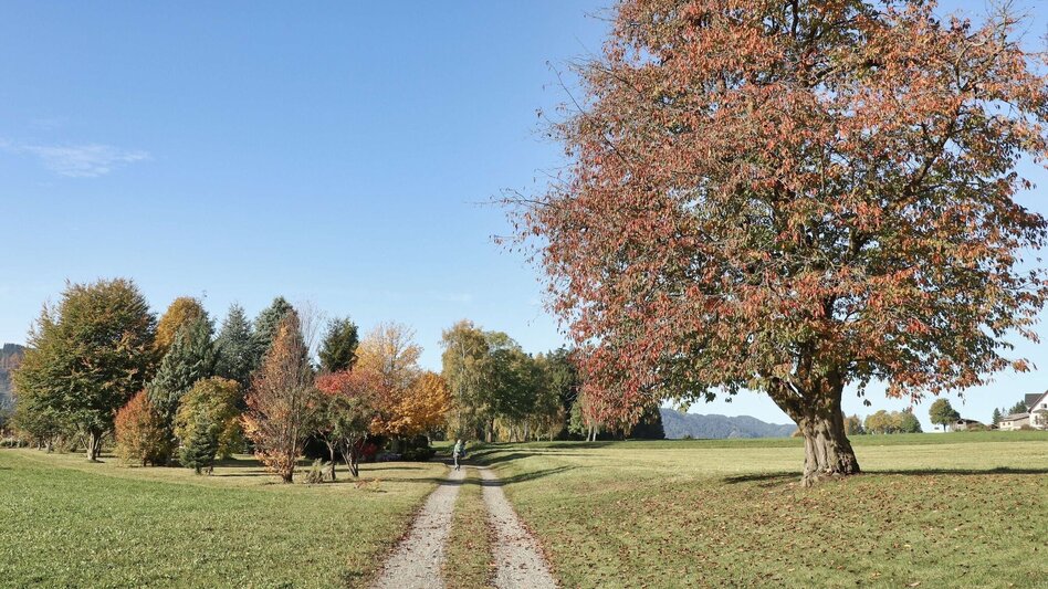 Hiking route 28c-Seckau - Steinmühle Rundwanderweg - Touren-Impression #2.15 | © Weges OG