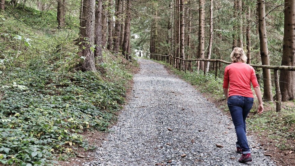 Wanderung 28b-Seckau - Sonnwenddorf Rundwanderweg - Touren-Impression #2.3 | © Weges OG