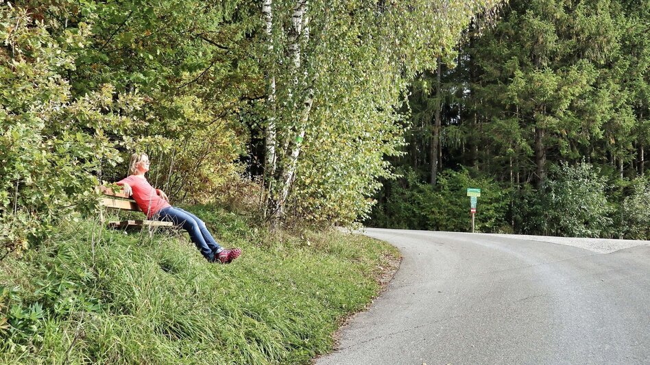 Wanderung 28b-Seckau - Sonnwenddorf Rundwanderweg - Touren-Impression #2.8 | © Weges OG