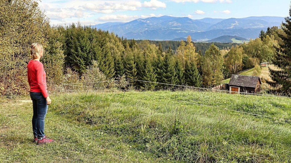 Wanderung 28b-Seckau - Sonnwenddorf Rundwanderweg - Touren-Impression #2.9 | © Weges OG