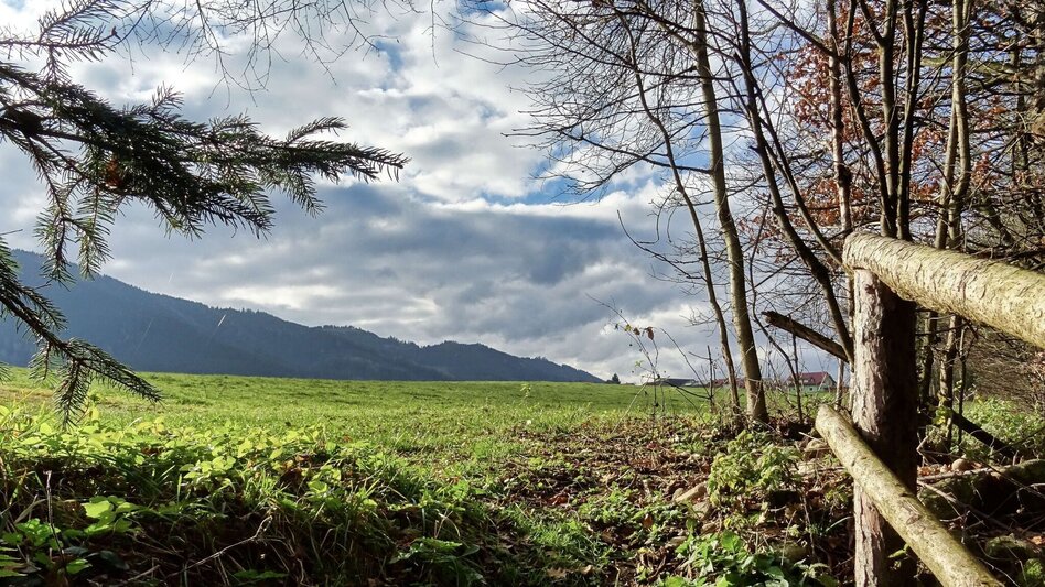 Wanderung 28d-Seckau - Neuhofen Rundwanderweg - Touren-Impression #2.2 | © Weges OG
