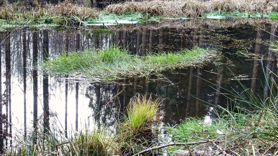 Wanderung 28d-Seckau - Neuhofen Rundwanderweg - Touren-Impression #2.11 | © Weges OG