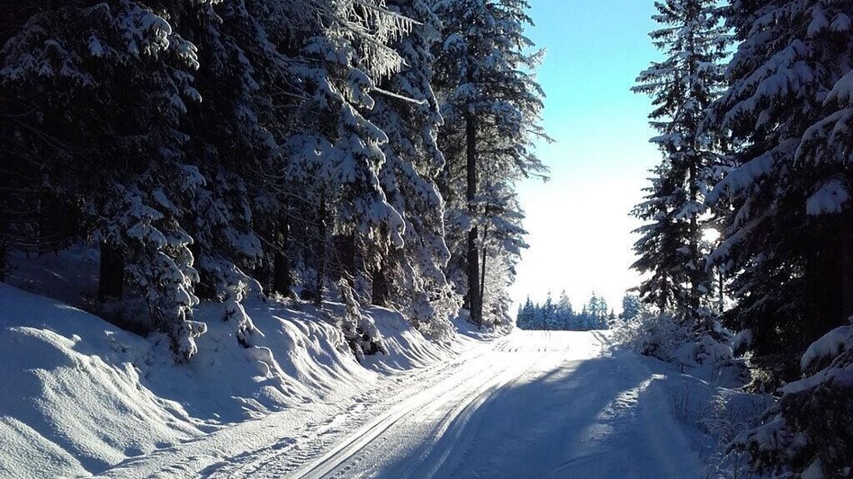 Langlauf Skating Hebalm Runde - Touren-Impression #2.3 | © Tourismusverband Rucksackdörfer